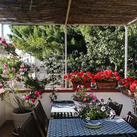 La Stanza Di Angi A Mondello Hotel ปาแลร์โม ภายนอก รูปภาพ