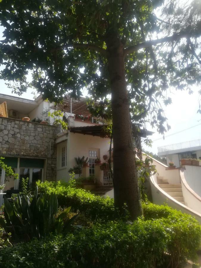 La Stanza Di Angi A Mondello Hotel ปาแลร์โม ภายนอก รูปภาพ