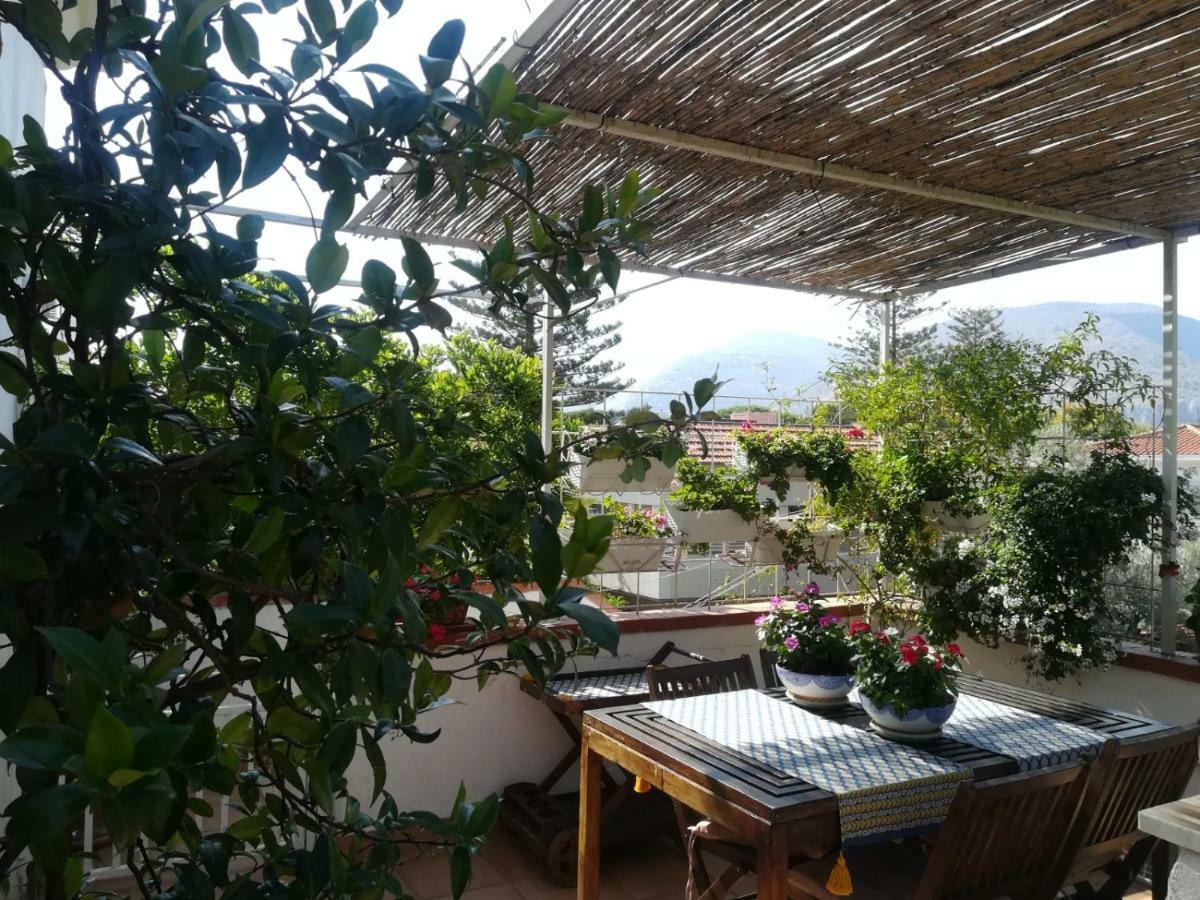 La Stanza Di Angi A Mondello Hotel ปาแลร์โม ภายนอก รูปภาพ