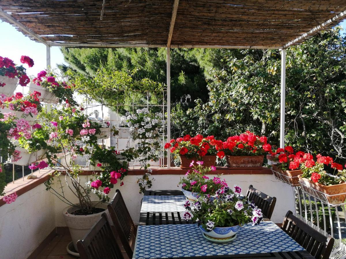 La Stanza Di Angi A Mondello Hotel ปาแลร์โม ภายนอก รูปภาพ
